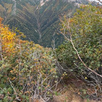 ここから下ると言われても８割の人は？となると思う