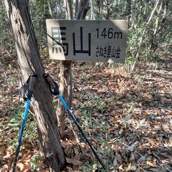 スルーも　ありかな💦