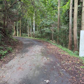 暫く林道歩き🚶