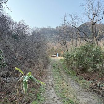 ここからスタートしたけど間違えた😅