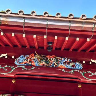 白い丸い物は、手の吸盤だと思ってたら
波しぶきだった…