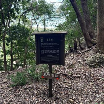 駿田峠
本日最後の峠