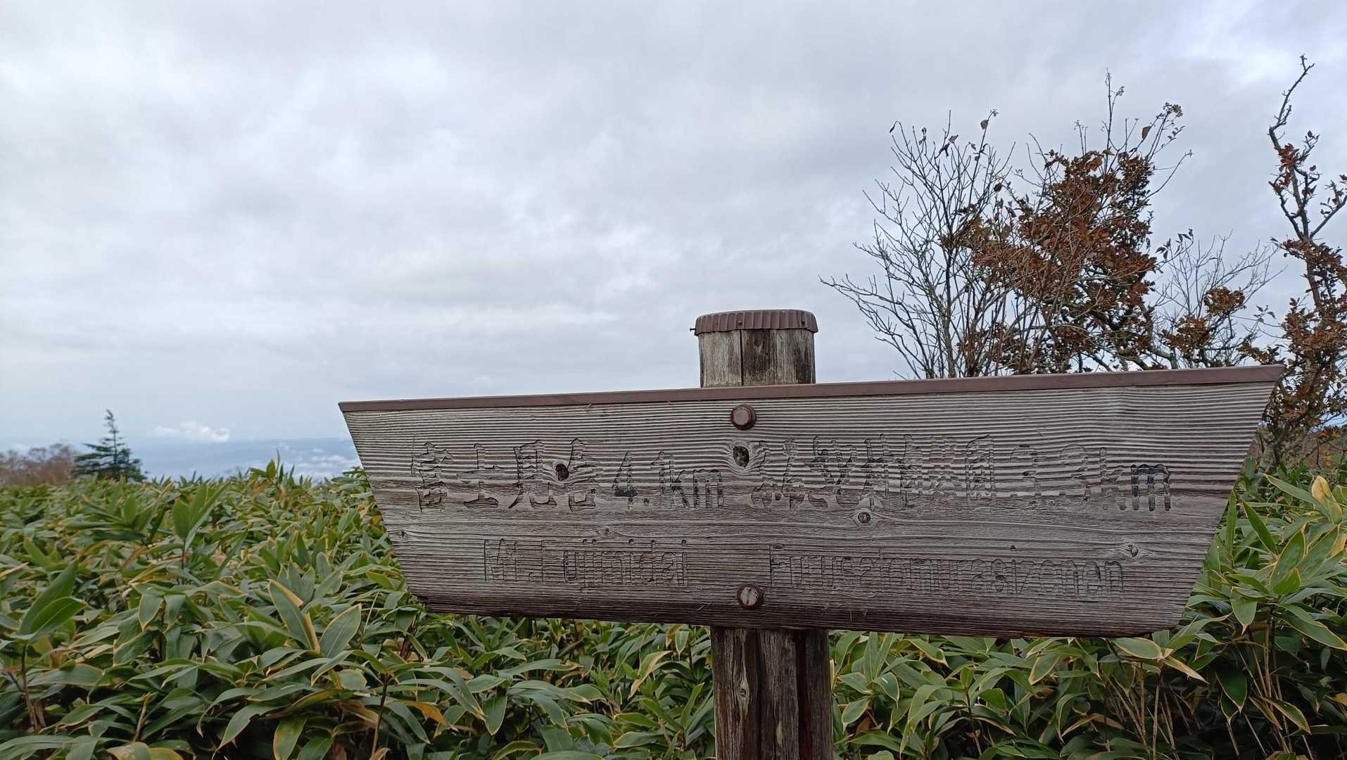 南沢山まで戻って来ました。
雲も多くなりどんよりした景色となってます。