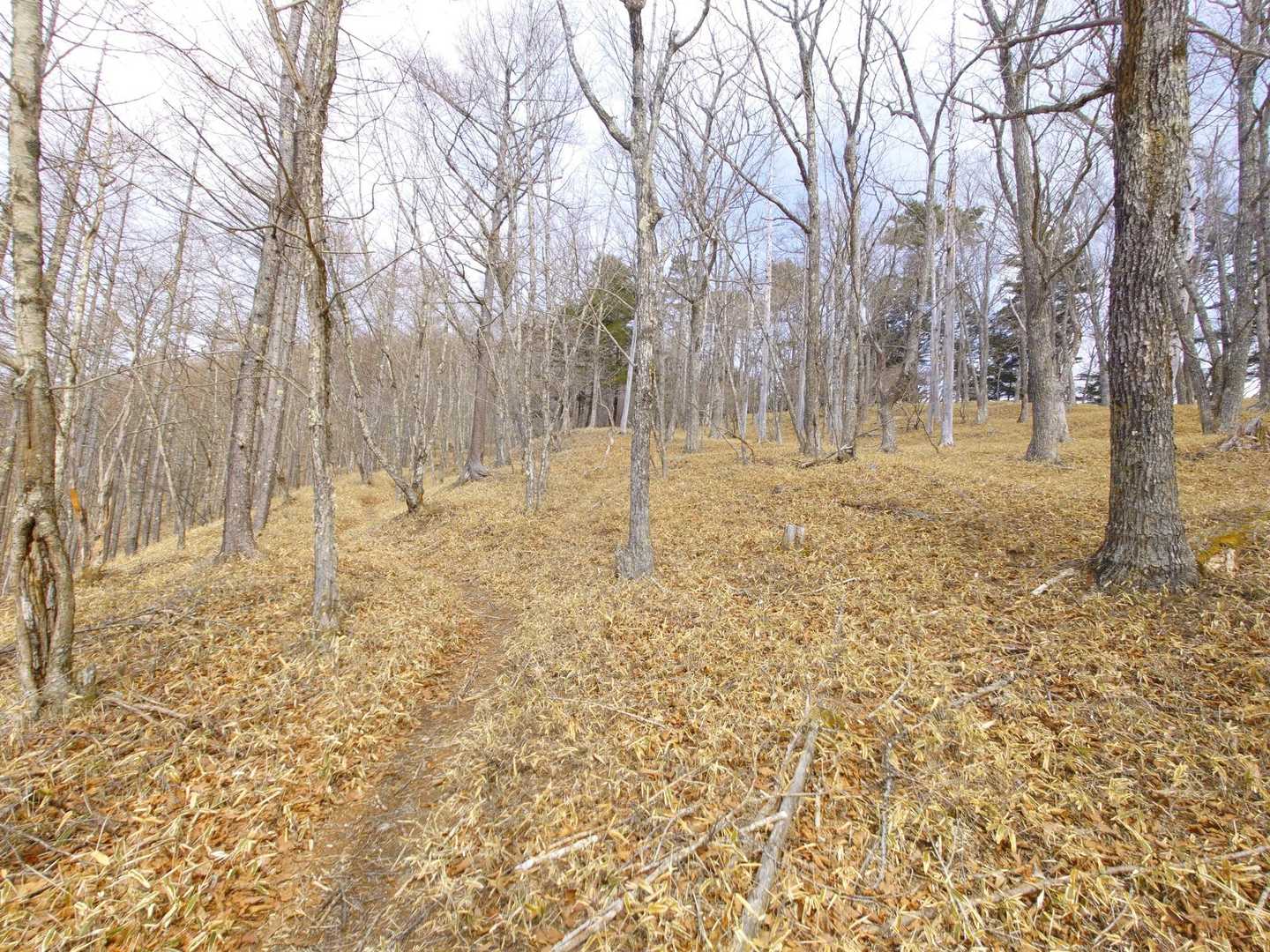 緩やかな登りが永遠に続く