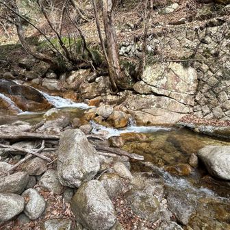 ここで、雪から作った埃っぽい水筒の水を交換しました
激ウマ‼️同じ水なのに全然味が違う‼️