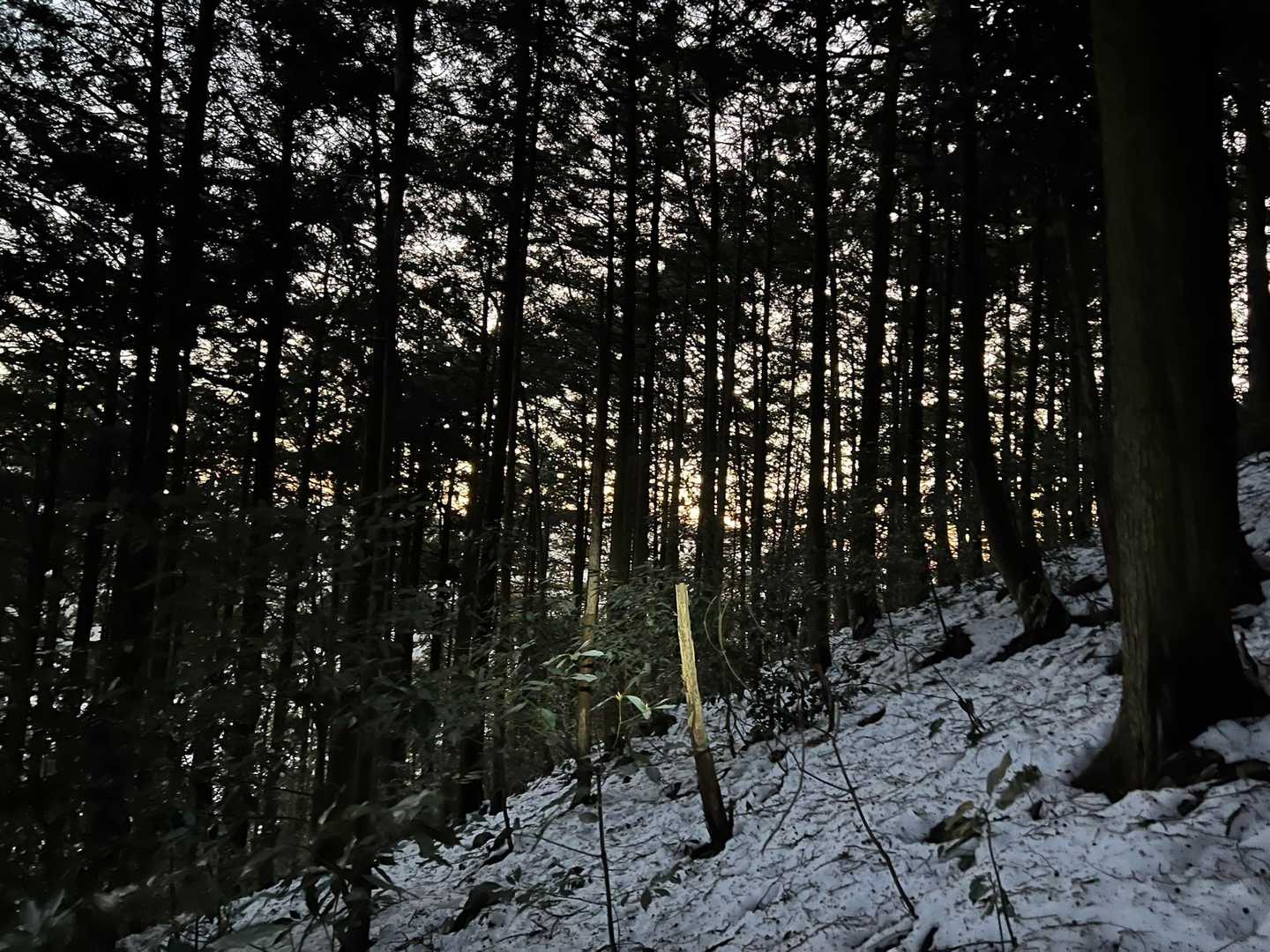 しばらく行くと日の出🌅