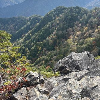 山頂からの景色