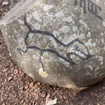 現在地は※の所です😁