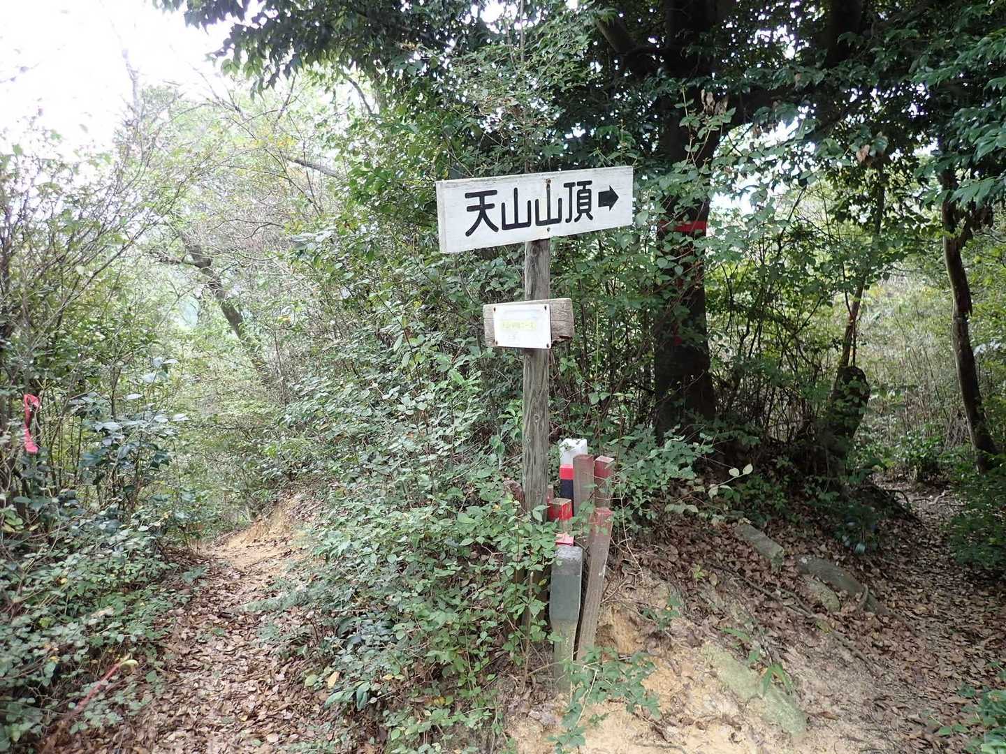 天山 往復コースの写真