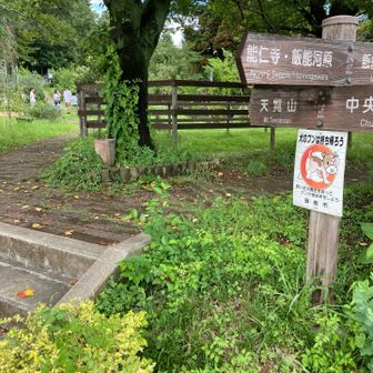 レストラン横の登山口