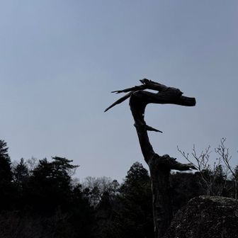 岩や鎖は楽しめたけれど🐉
