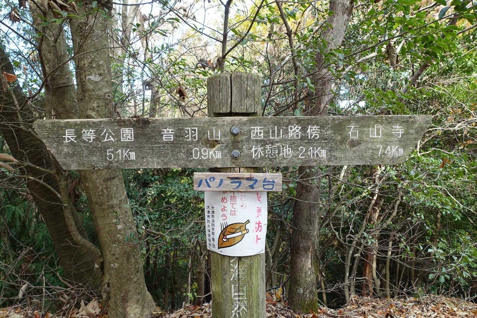 パノラマ展望