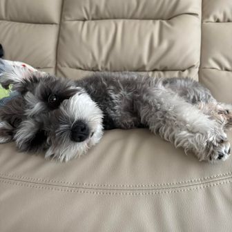 あいうえおあい