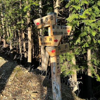 立野峠　尾根に出ました