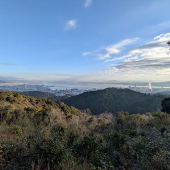 立木が切ってあり、大津の街並みが一望
