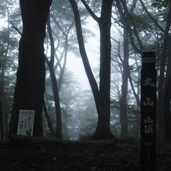 山頂の木々の間から富士山が見えるらしいのですが‥‥