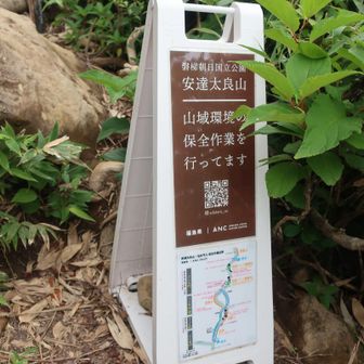 道直しをしてます