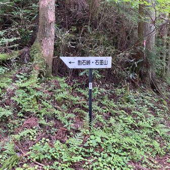 まずは本命『石墨山』へ