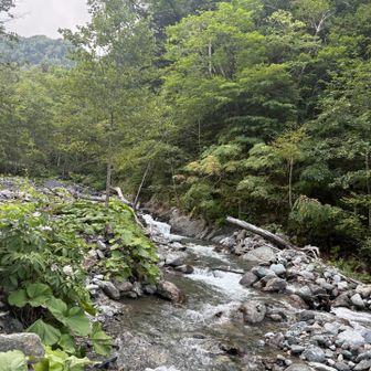 山荘のそばの川