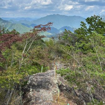 瑠璃山山頂、遠くに明神山が見える