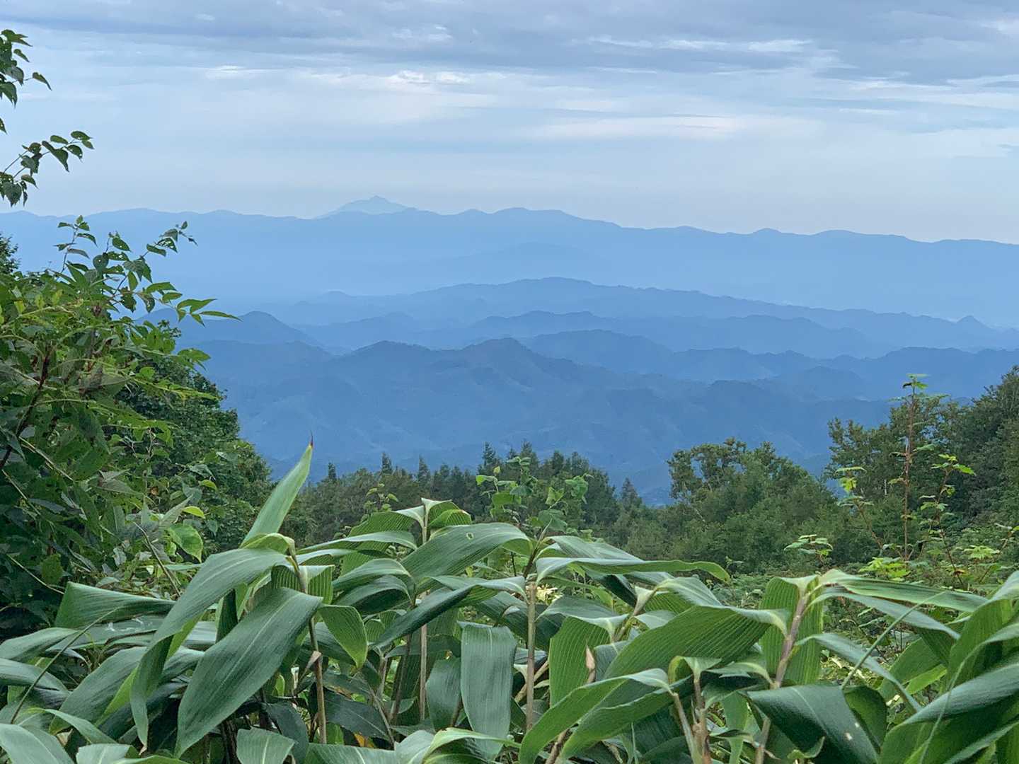 振り返ると岩木山が！
