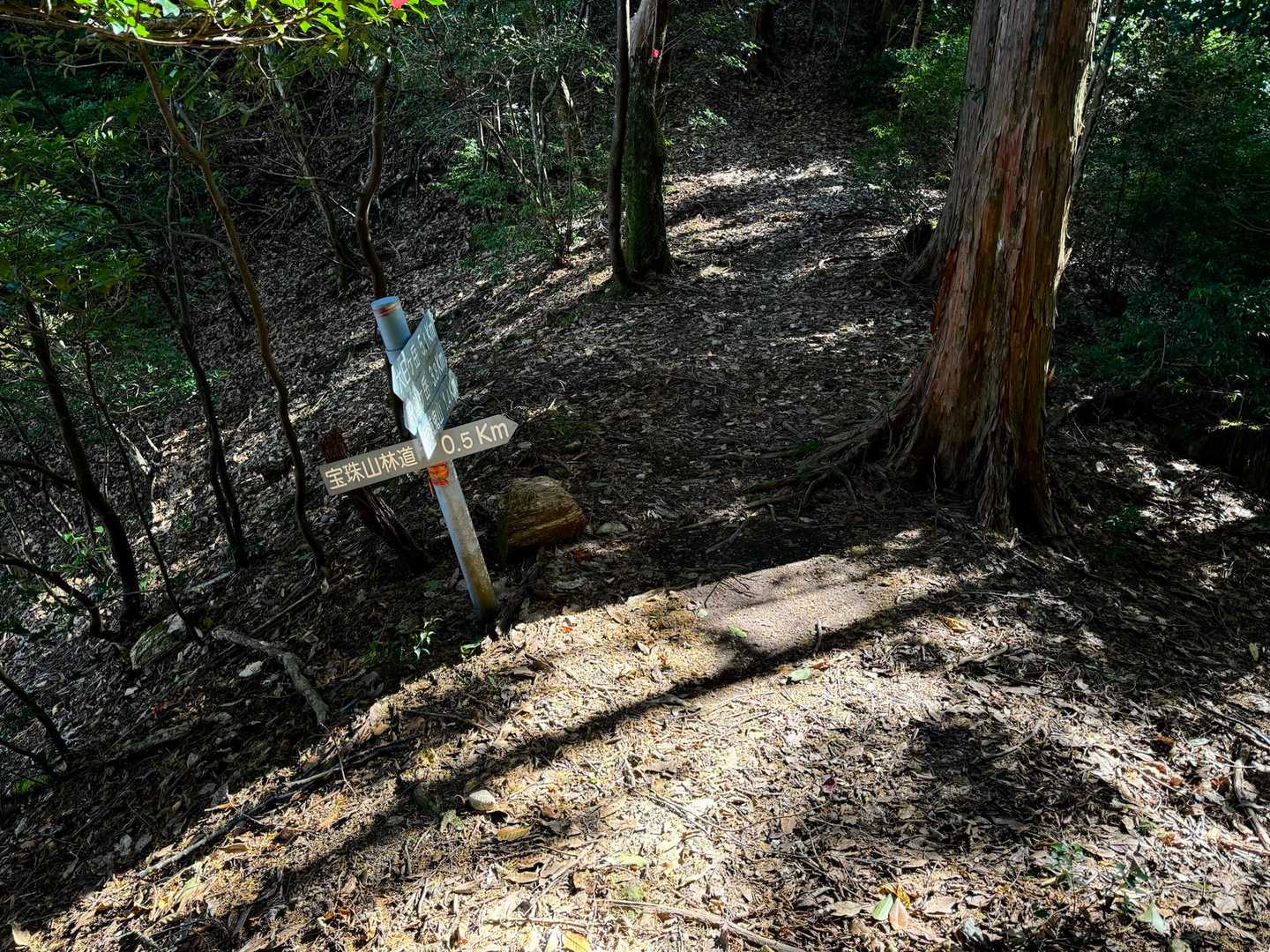 宝珠山林道分岐