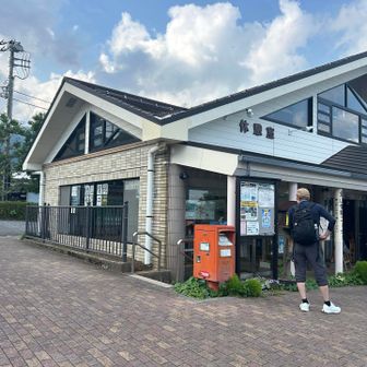 鍋割山を経由して大倉に下山しました。
林道歩きが長かった！