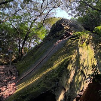 登山道脇に。登ってみたんですが展望があるわけでもなく…。