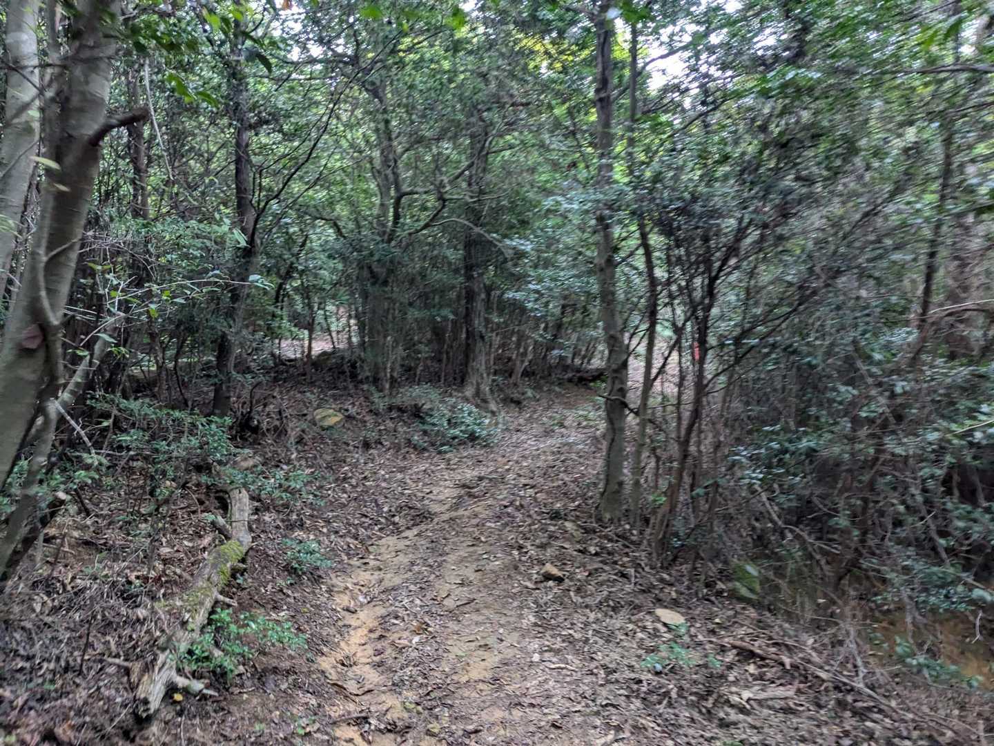 10km過ぎからどんどんペースダウン💧