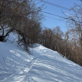 昨日風強かったよね。