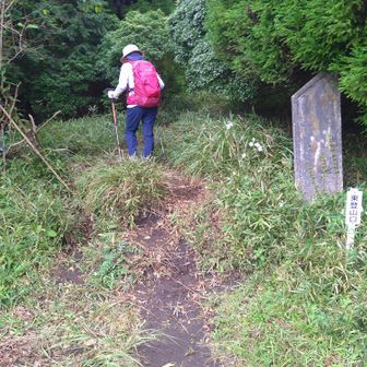 やっと駐車場に着き東登山口からスタートします🚶