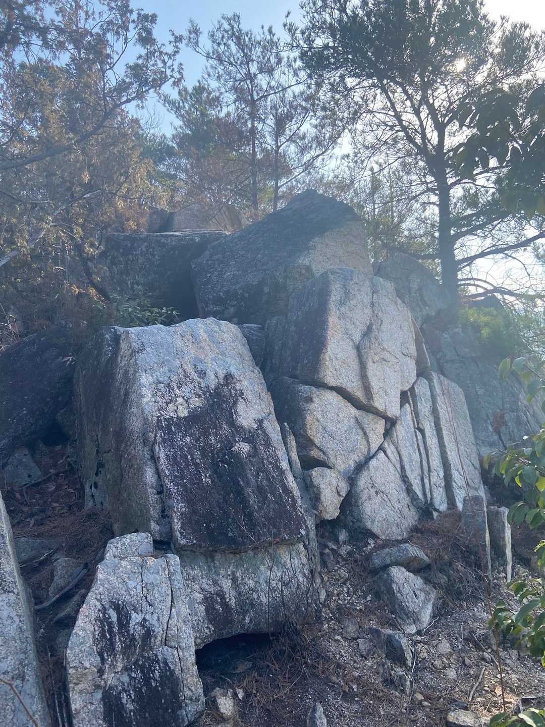 これか？