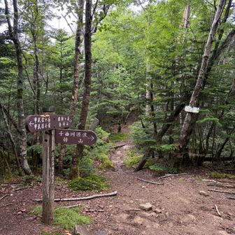 来た道を下ります
大弛峠や金峰山方面に縦走も出来ます