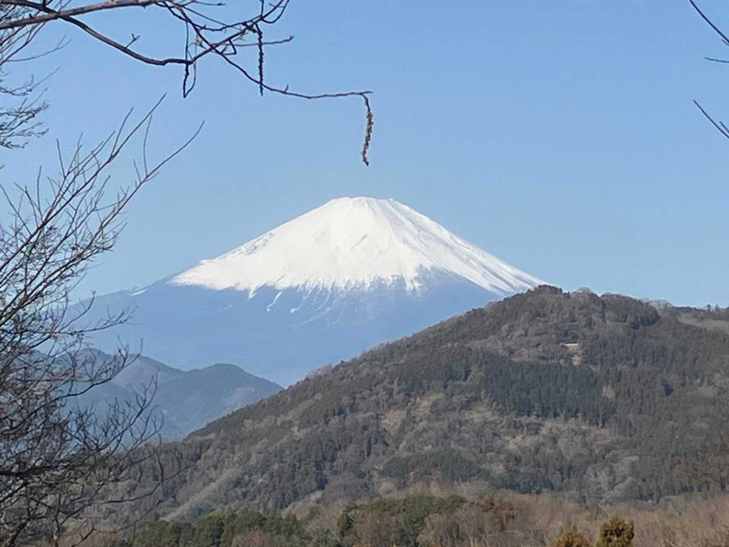 秦野駅-浅間台-八国見山登り口-八国見山-頭高山-渋沢駅 縦走コースの写真