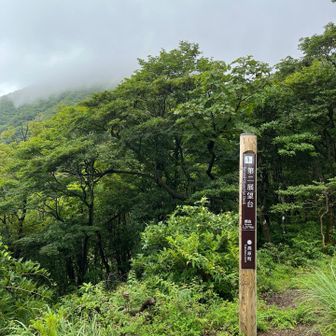 第二展望所からも真っ白