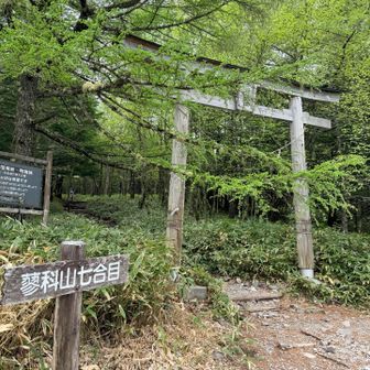 蓼科山さん、今年もよろしくお願いします🙏
