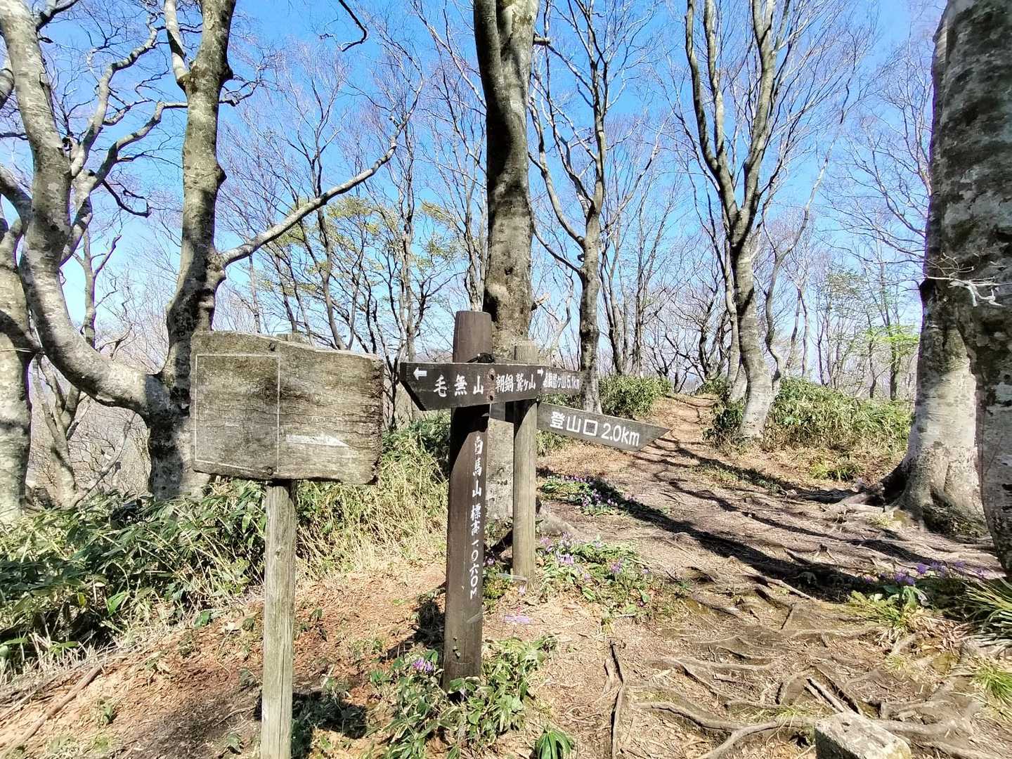 白馬山到着⛰️登山口方向へ、あとは降下するだけ⛷️