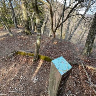 やっと見つけた山頂標識