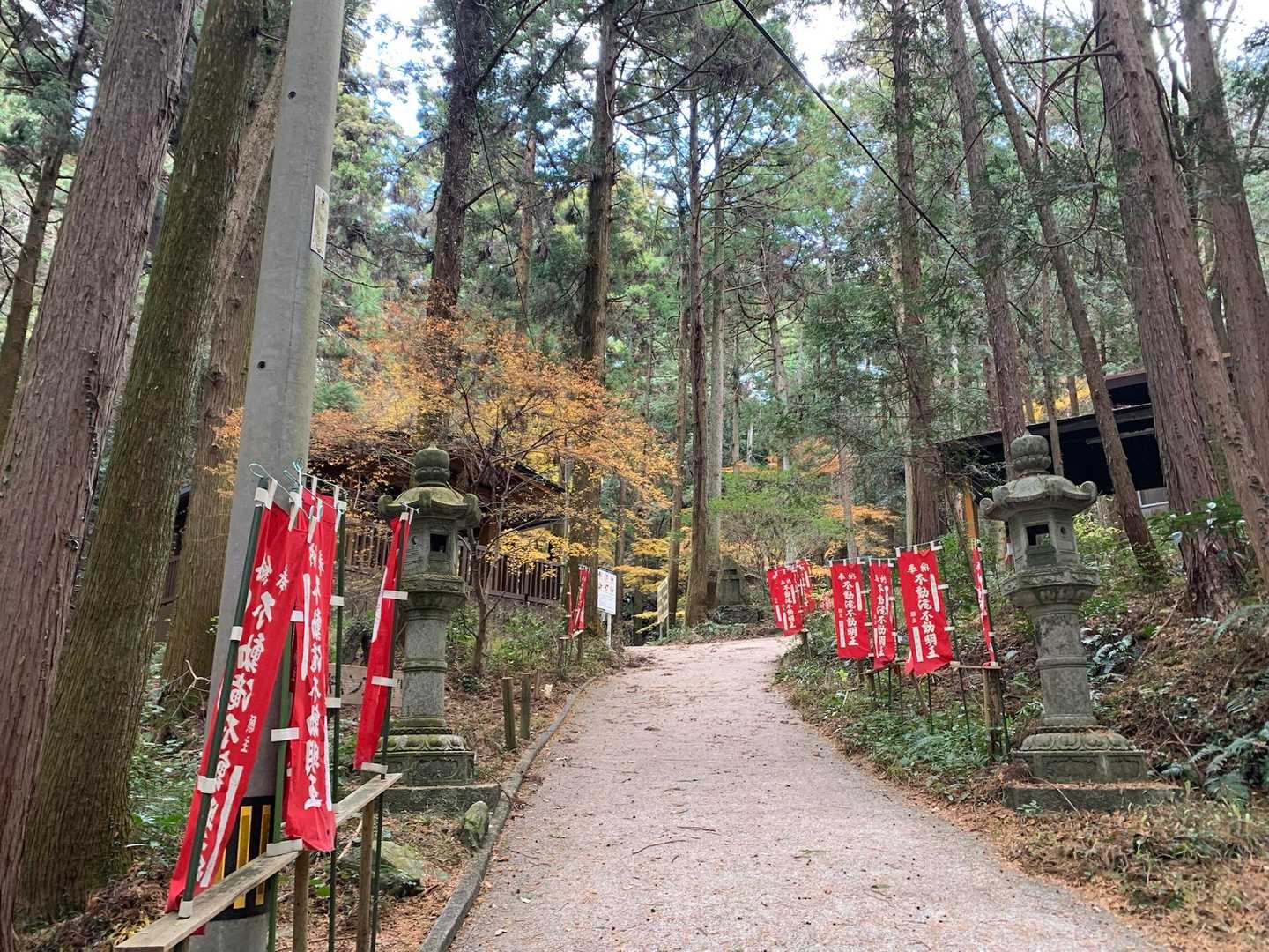 少し紅葉残っていた