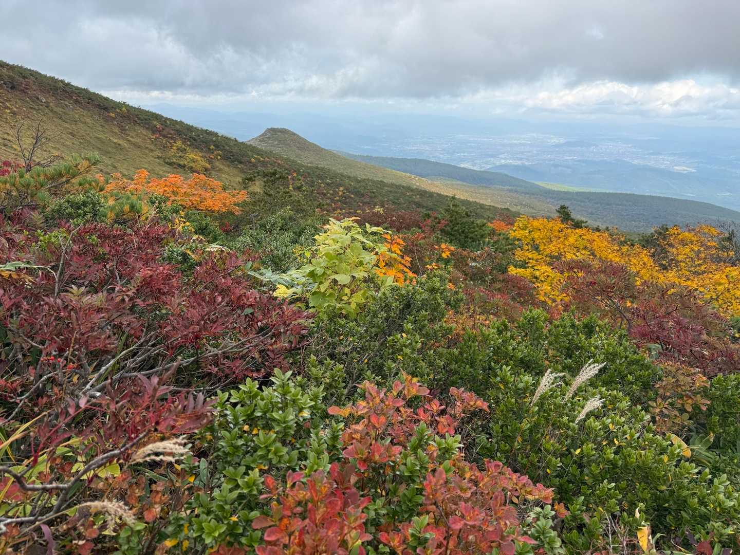 まだ北海道でも紅葉を楽しんでなかったので感激🤩