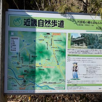 ここから本格的に登山道入ります