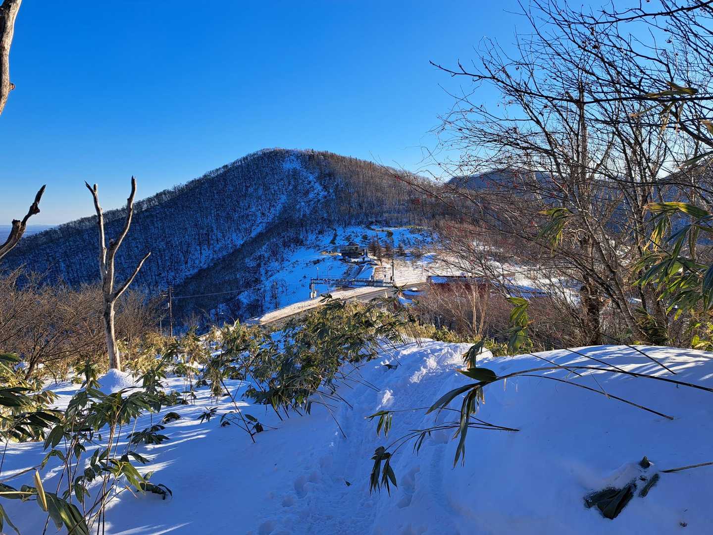 峠見えてきました
