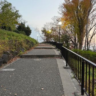 学生🧑‍🎓がはしゃいでました