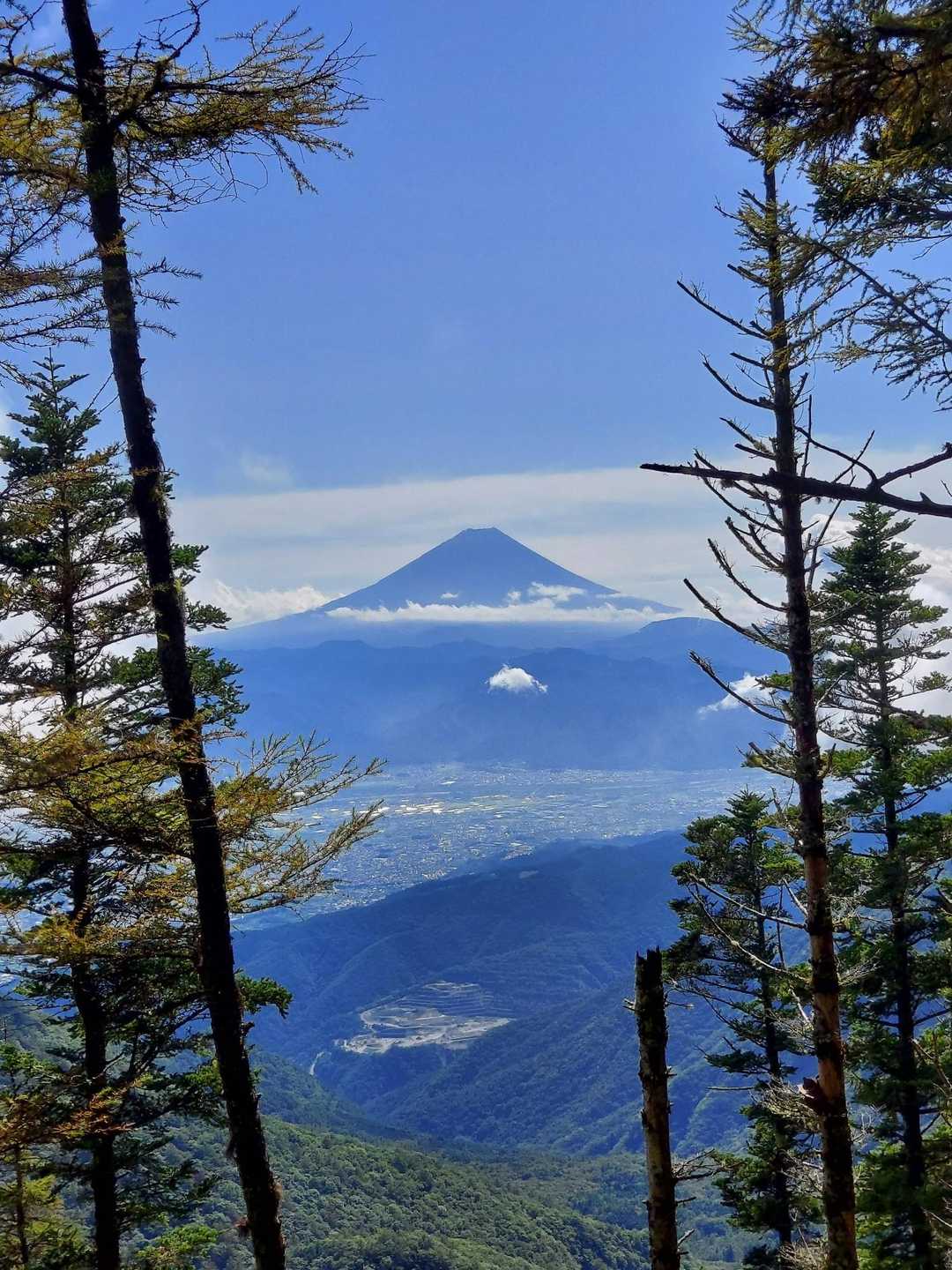 甘利山登山口-甘利山-大西峰-千頭星山-小西峰-御所山 周回コースの写真