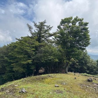 富士山は見えない