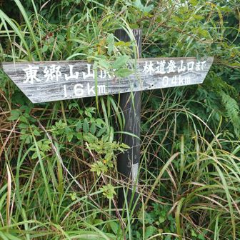 山頂まで1.6kmの標識