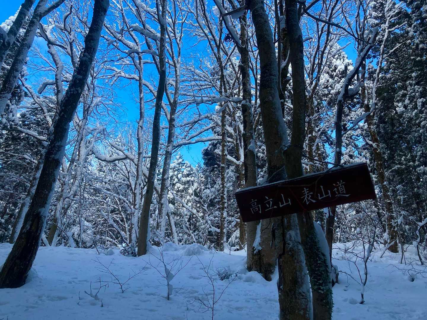 表山道から🏔️