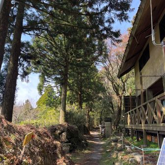 行ってきまーす！