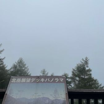 驚きの白さ！（笑）