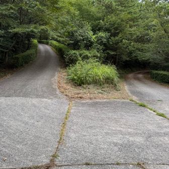 また舗装路へ

来る時は右から来たので、今度は左の展望広場へ行ってみる